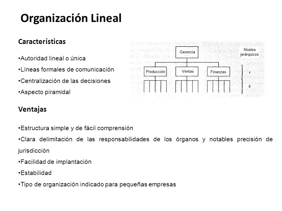 Organización Lineal Características Ventajas Autoridad lineal o única