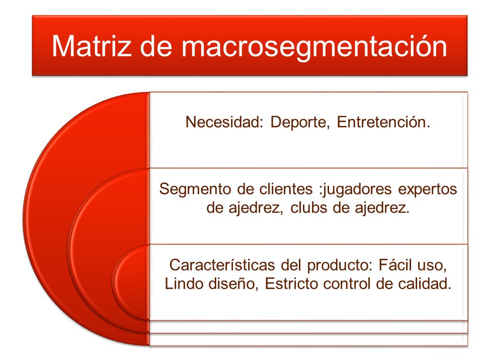 Matriz de macro segmentación