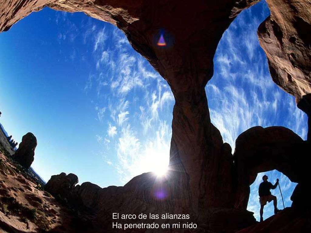 El arco de las alianzas Ha penetrado en mi nido
