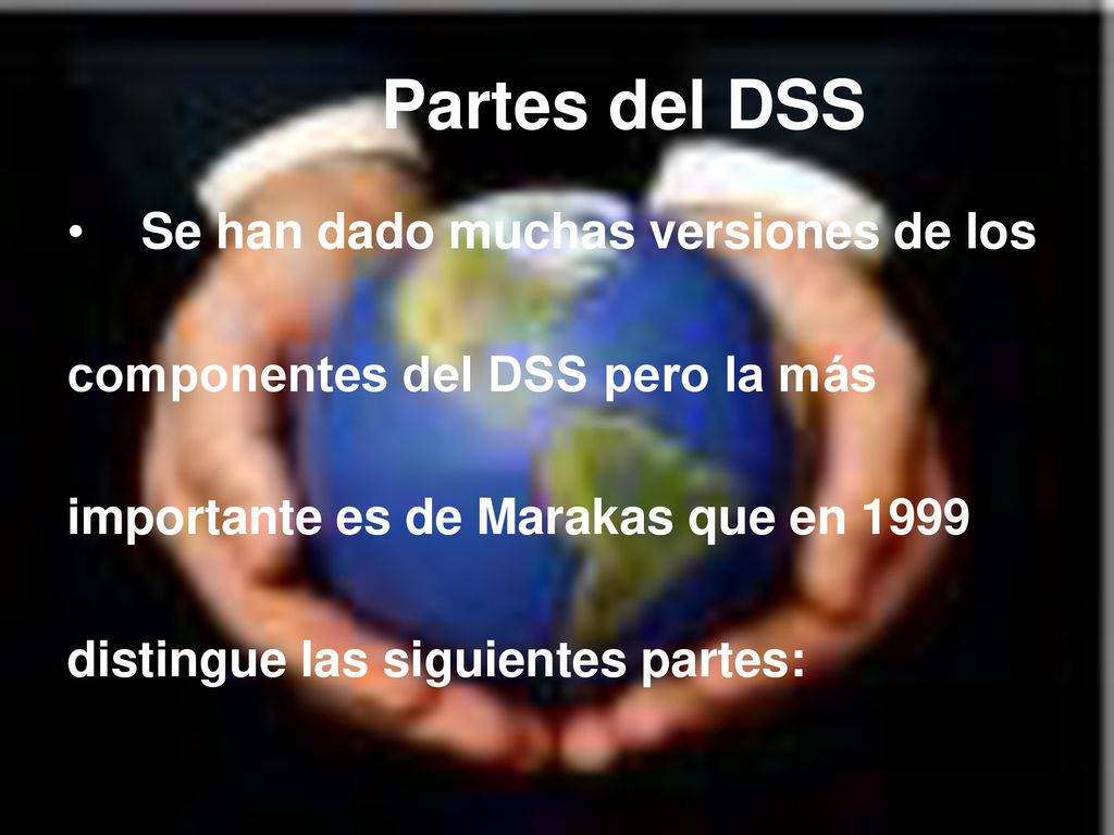 Partes del DSS Se han dado muchas versiones de los