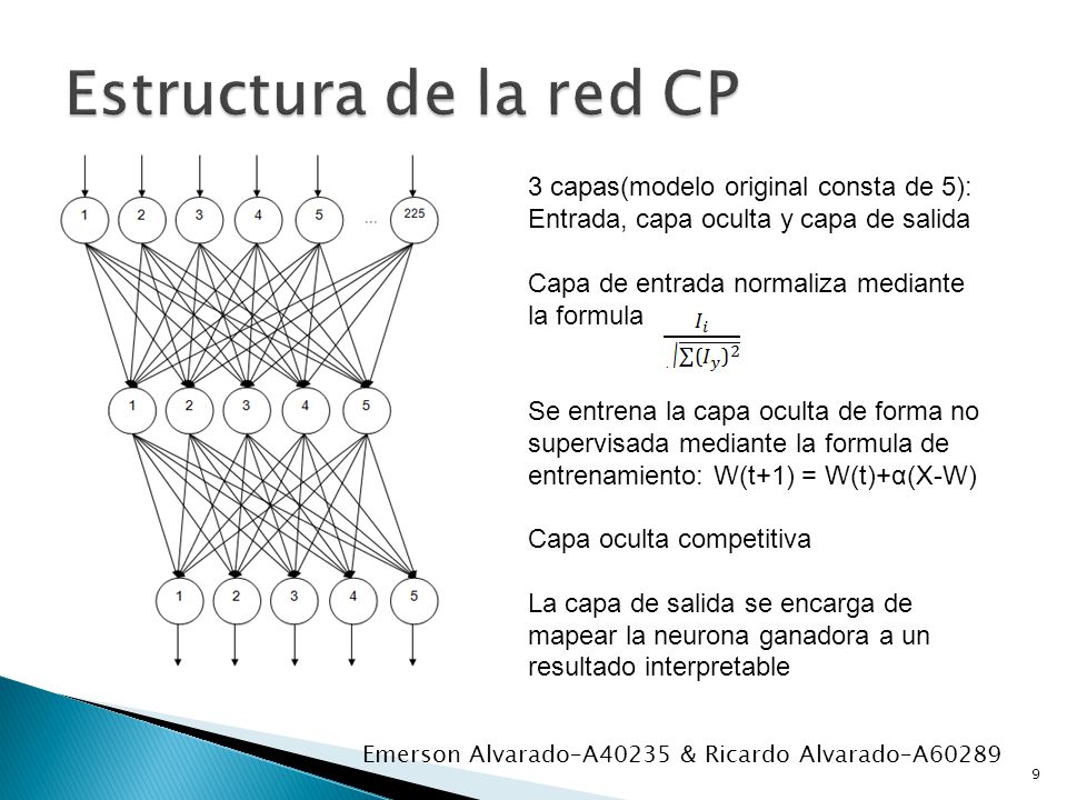 Estructura de la red CP 3 capas(modelo original consta de 5): Entrada, capa oculta y capa de salida.