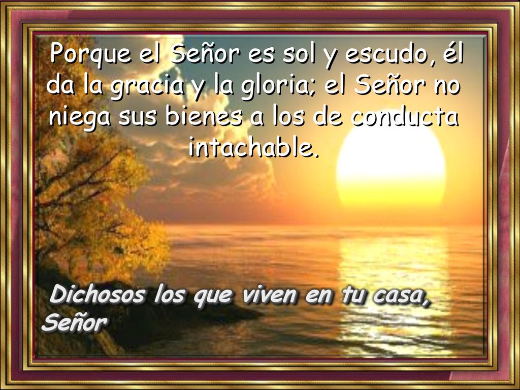 Porque el Señor es sol y escudo, él da la gracia y la gloria; el Señor no niega sus bienes a los de conducta intachable.