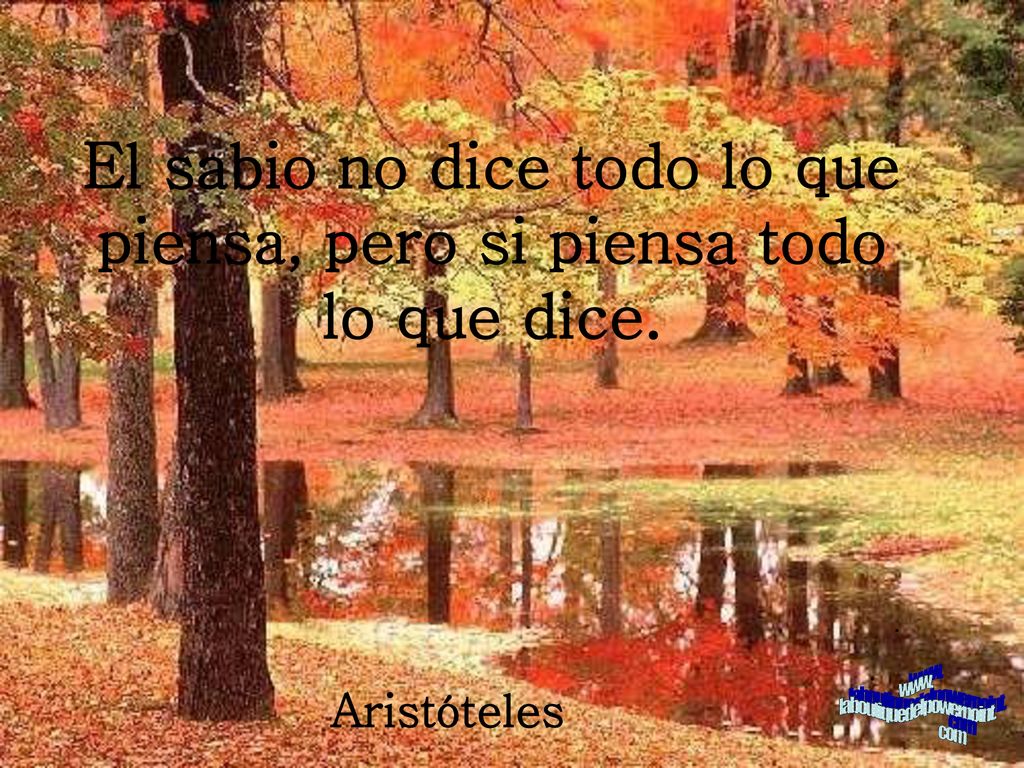 El sabio no dice todo lo que piensa, pero si piensa todo lo que dice.