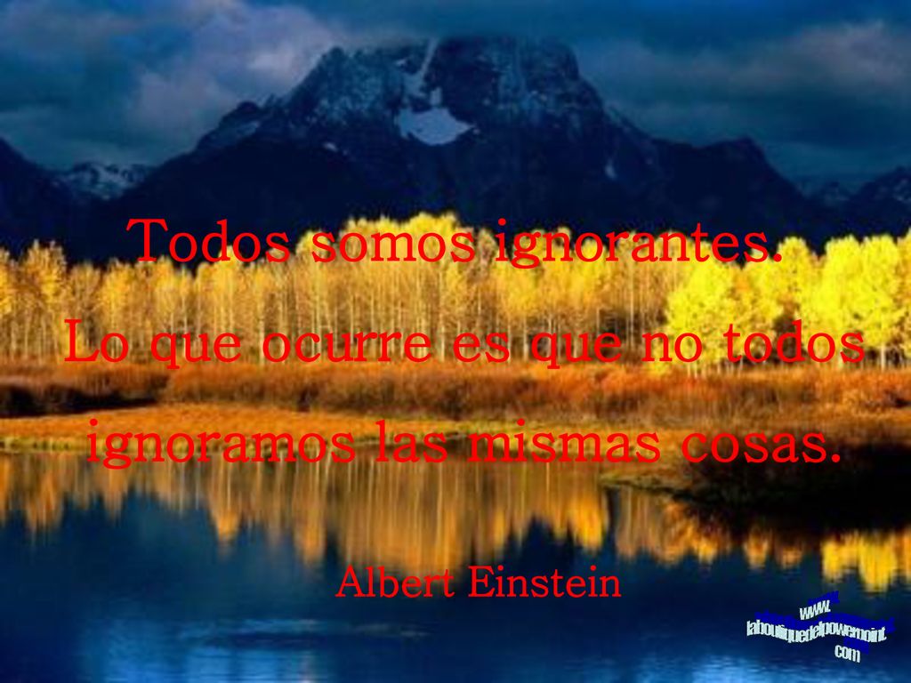 Todos somos ignorantes. Lo que ocurre es que no todos