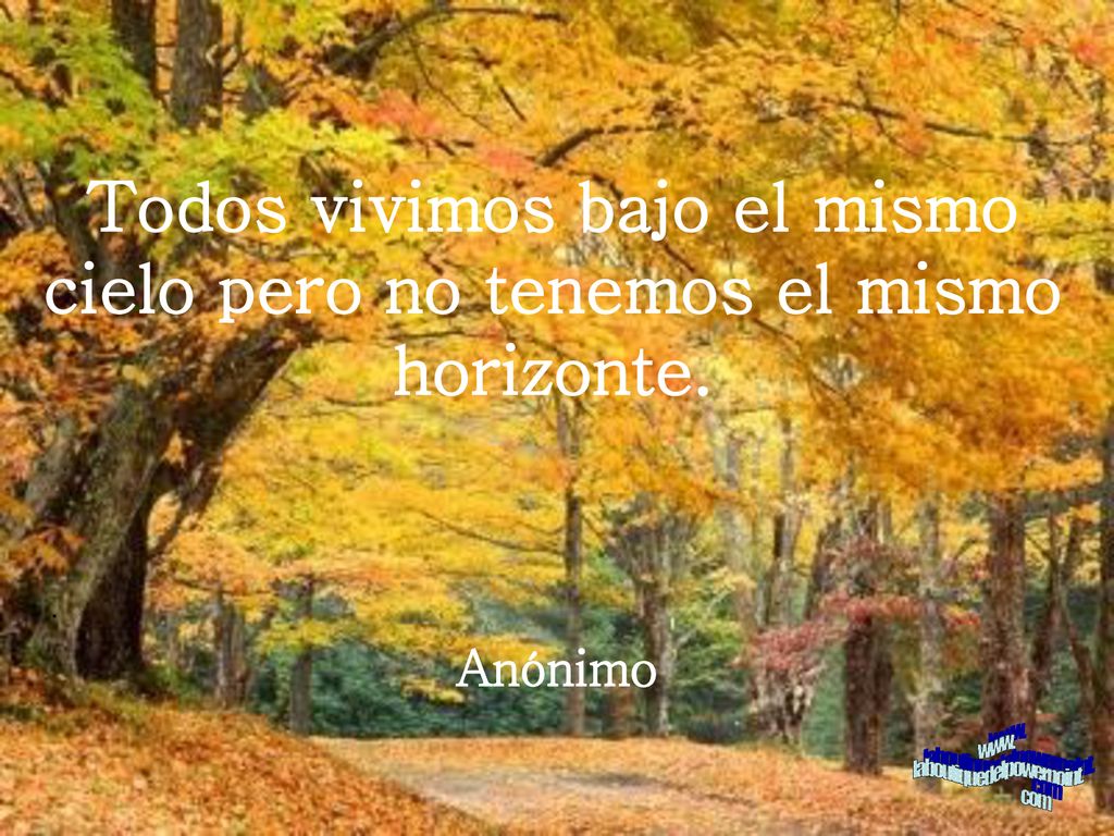 Todos vivimos bajo el mismo cielo pero no tenemos el mismo horizonte.