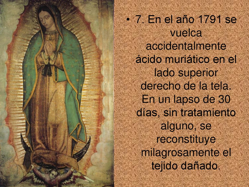 7. En el año 1791 se vuelca accidentalmente ácido muriático en el lado superior derecho de la tela.