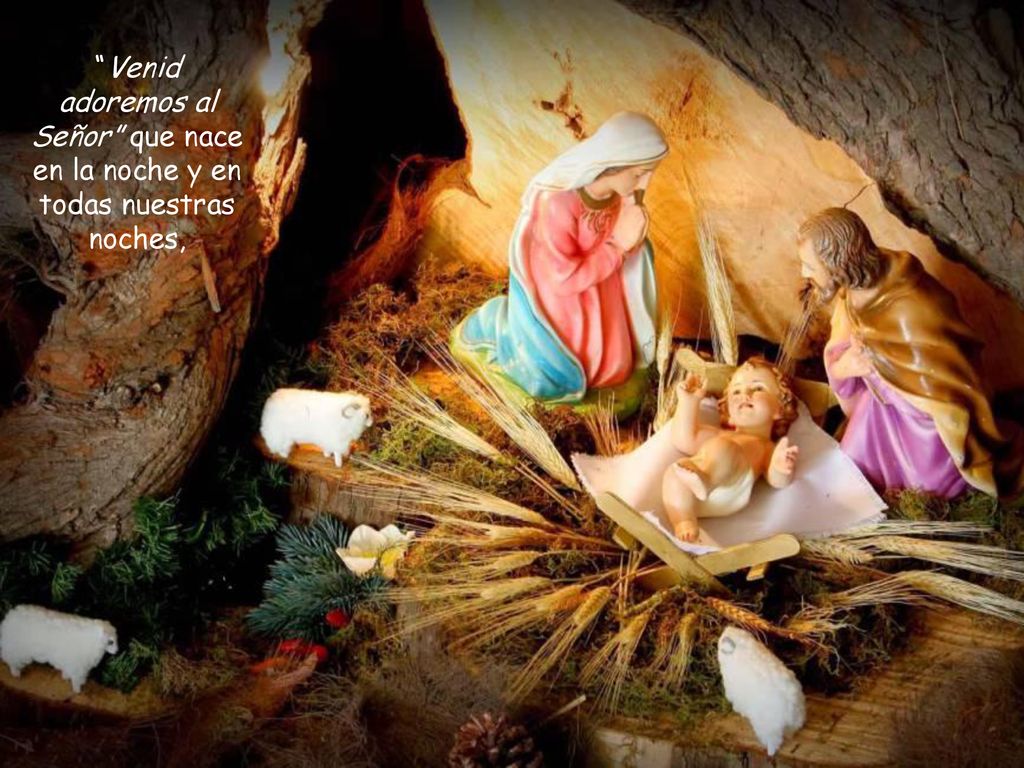 Venid adoremos al Señor que nace en la noche y en todas nuestras noches,