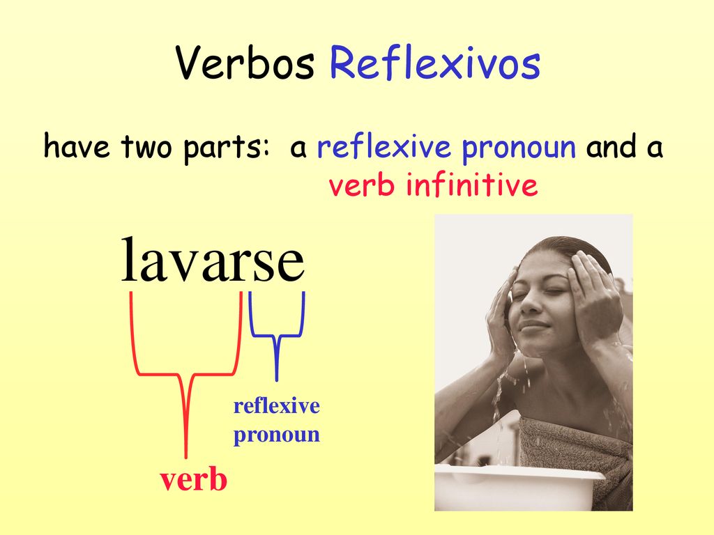 have two parts: a reflexive pronoun and a verb infinitive