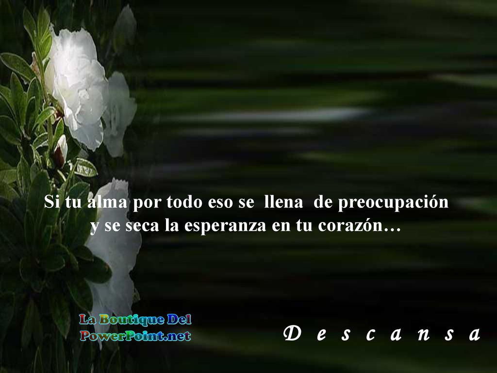 D e s c a n s a Si tu alma por todo eso se llena de preocupación