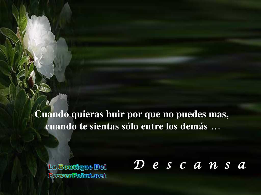 D e s c a n s a Cuando quieras huir por que no puedes mas,