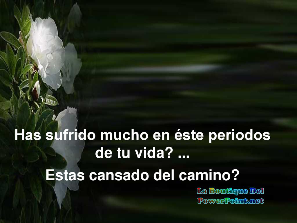 Has sufrido mucho en éste periodos de tu vida ...