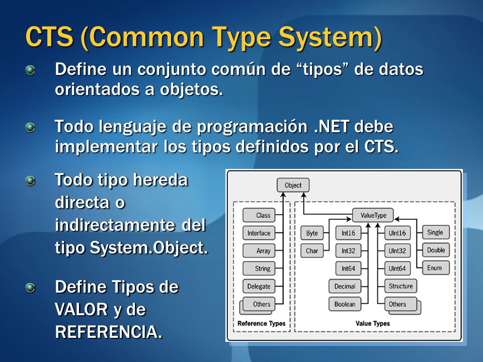 CTS (Common Type System)