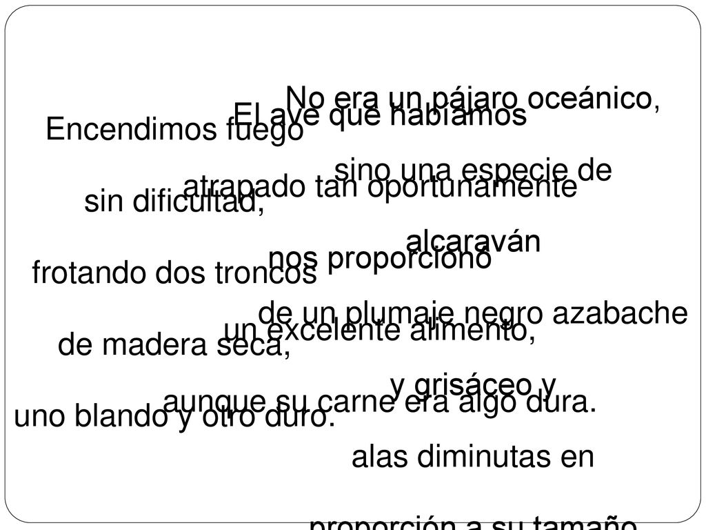 No era un pájaro oceánico, sino una especie de alcaraván