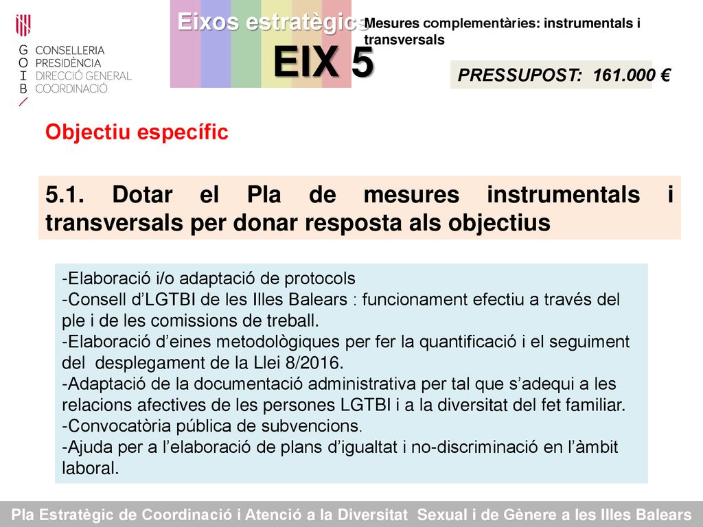Eixos estratègics EIX 5 Mesures complementàries: instrumentals i transversals. PRESSUPOST: €