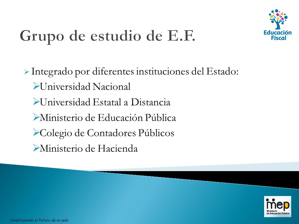 Grupo de estudio de E.F. Integrado por diferentes instituciones del Estado: Universidad Nacional. Universidad Estatal a Distancia.