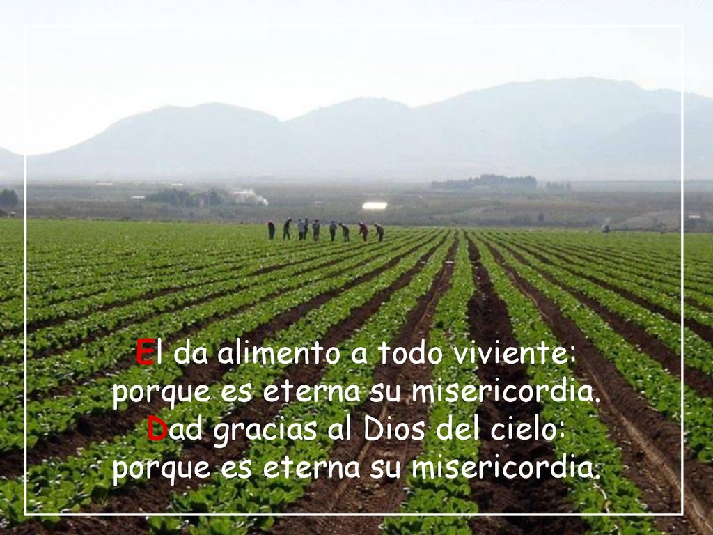 El da alimento a todo viviente: porque es eterna su misericordia