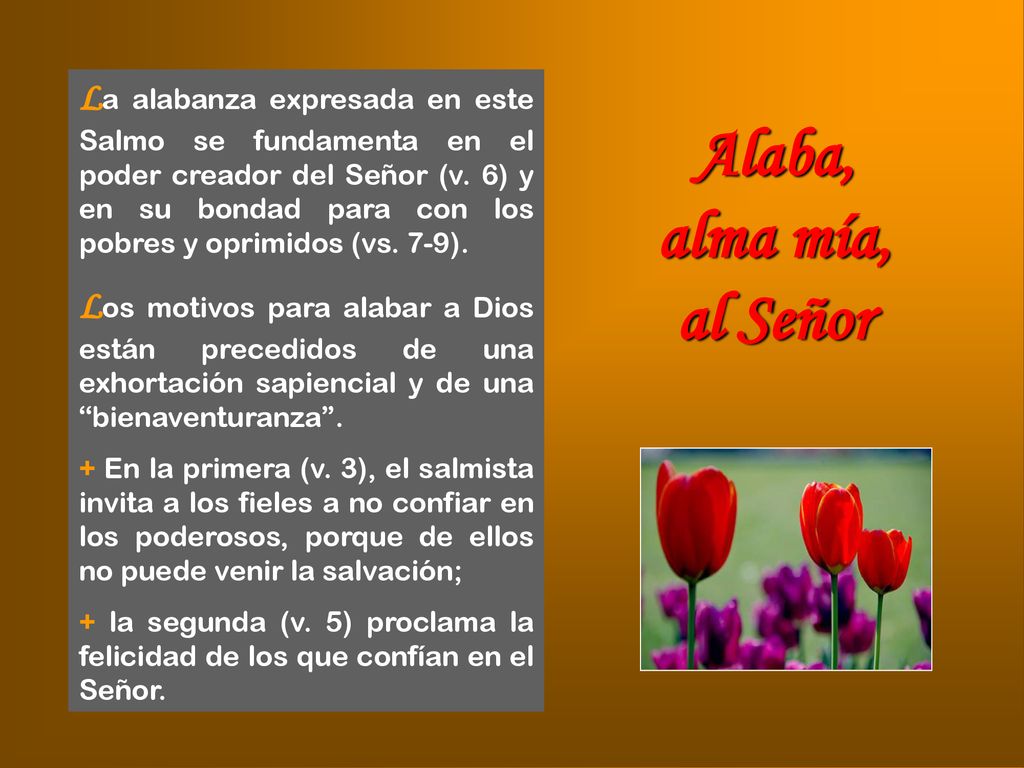 La alabanza expresada en este Salmo se fundamenta en el poder creador del Señor (v. 6) y en su bondad para con los pobres y oprimidos (vs. 7-9).