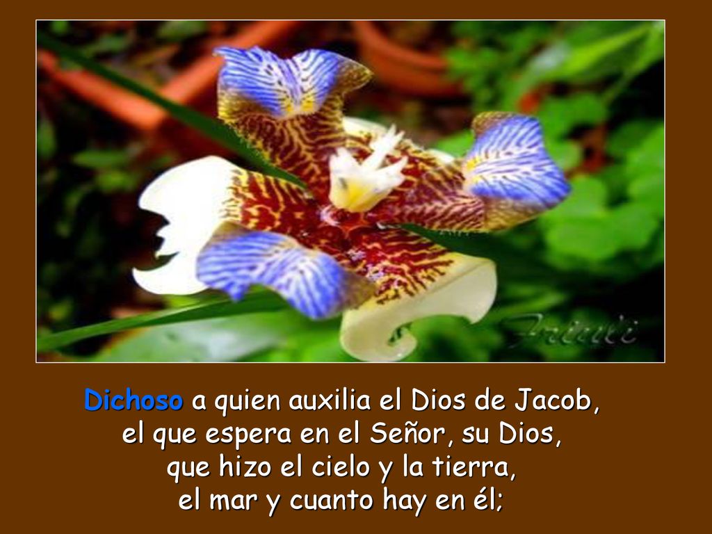 Dichoso a quien auxilia el Dios de Jacob, el que espera en el Señor, su Dios, que hizo el cielo y la tierra, el mar y cuanto hay en él;