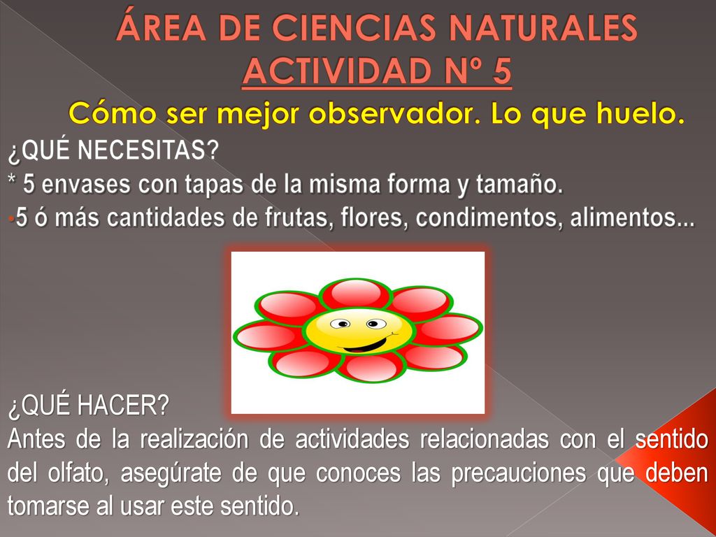 ÁREA DE CIENCIAS NATURALES ACTIVIDAD Nº 5 Cómo ser mejor observador