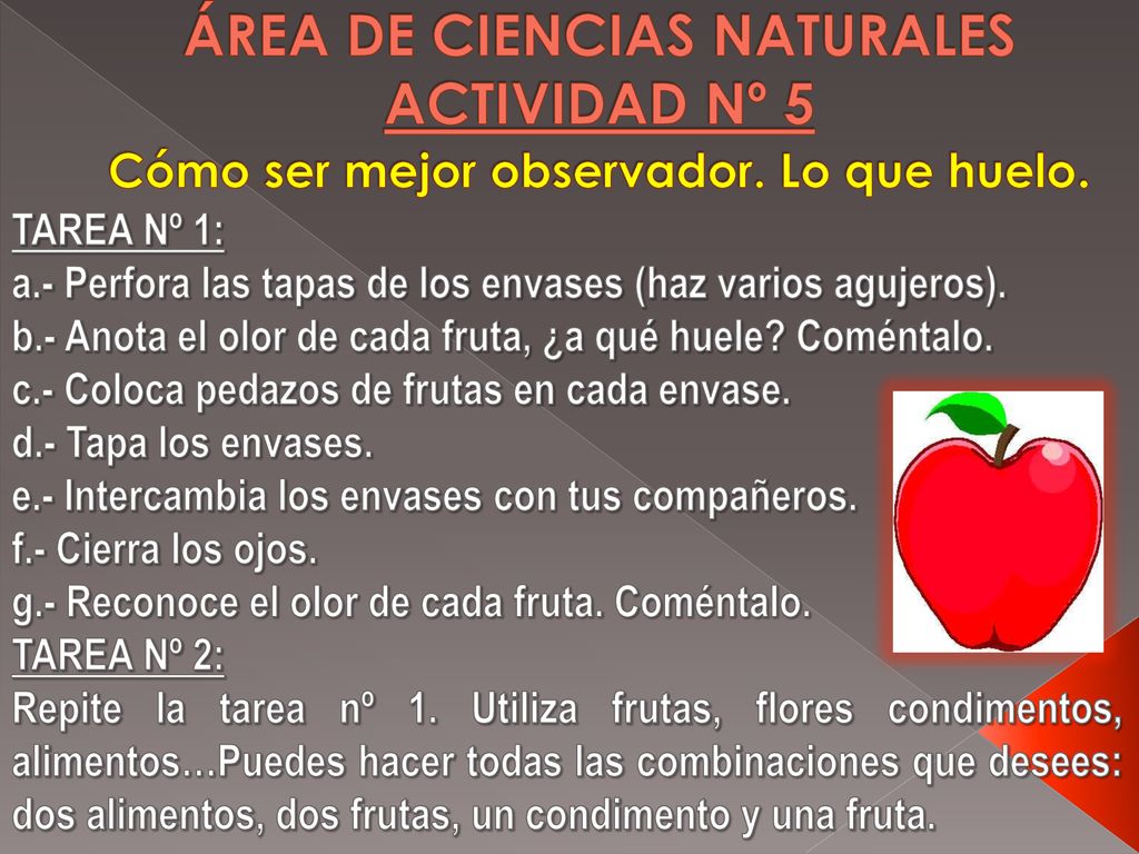 ÁREA DE CIENCIAS NATURALES ACTIVIDAD Nº 5 Cómo ser mejor observador