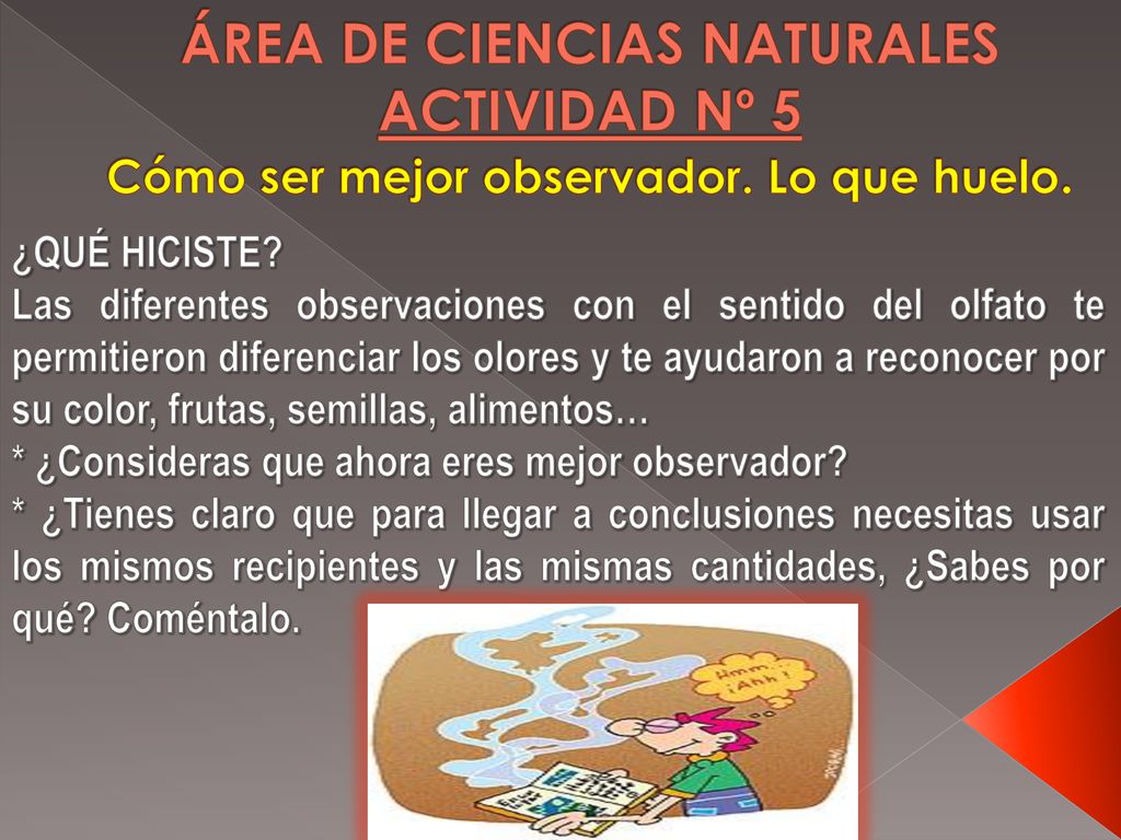 ÁREA DE CIENCIAS NATURALES ACTIVIDAD Nº 5 Cómo ser mejor observador