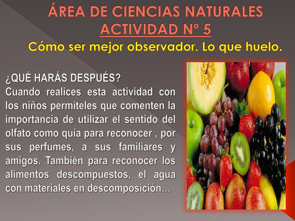 ÁREA DE CIENCIAS NATURALES ACTIVIDAD Nº 5 Cómo ser mejor observador