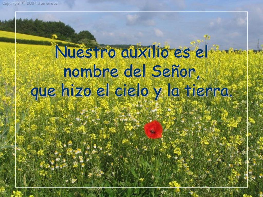 Nuestro auxilio es el nombre del Señor, que hizo el cielo y la tierra.
