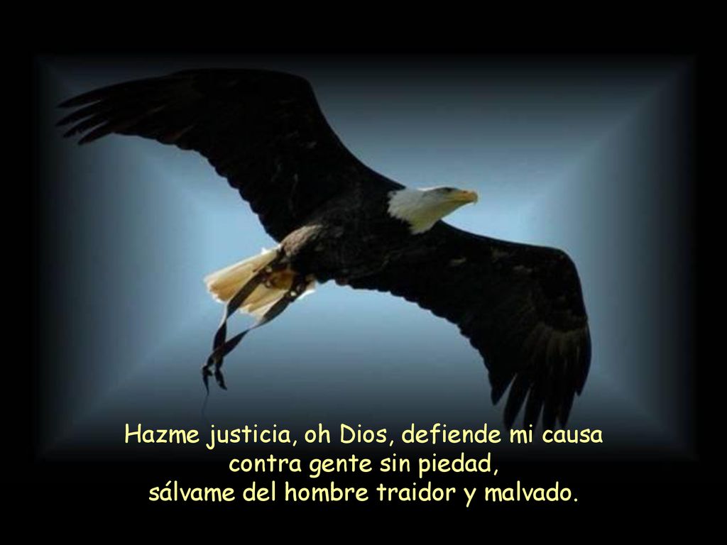 Hazme justicia, oh Dios, defiende mi causa contra gente sin piedad, sálvame del hombre traidor y malvado.