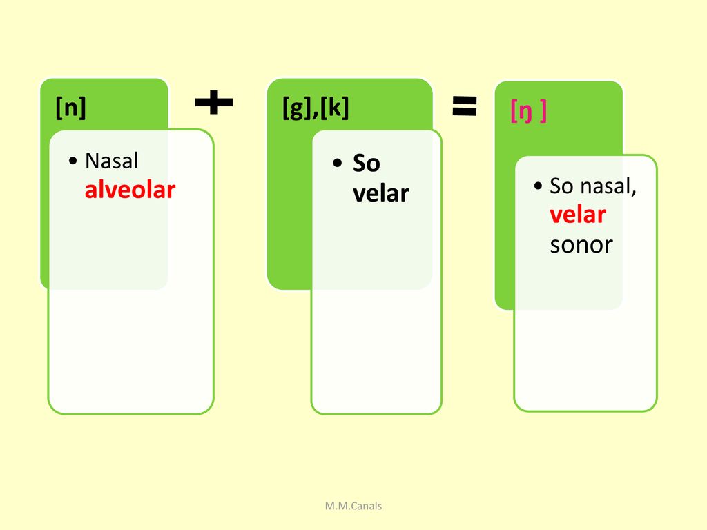 [n] [g],[k] So velar [ŋ ] Nasal alveolar So nasal, velar sonor