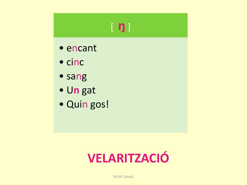 [ ŋ ] encant cinc sang Un gat Quin gos! VELARITZACIÓ M.M.Canals