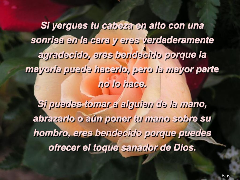 Si yergues tu cabeza en alto con una sonrisa en la cara y eres verdaderamente agradecido, eres bendecido porque la mayoría puede hacerlo, pero la mayor parte no lo hace.