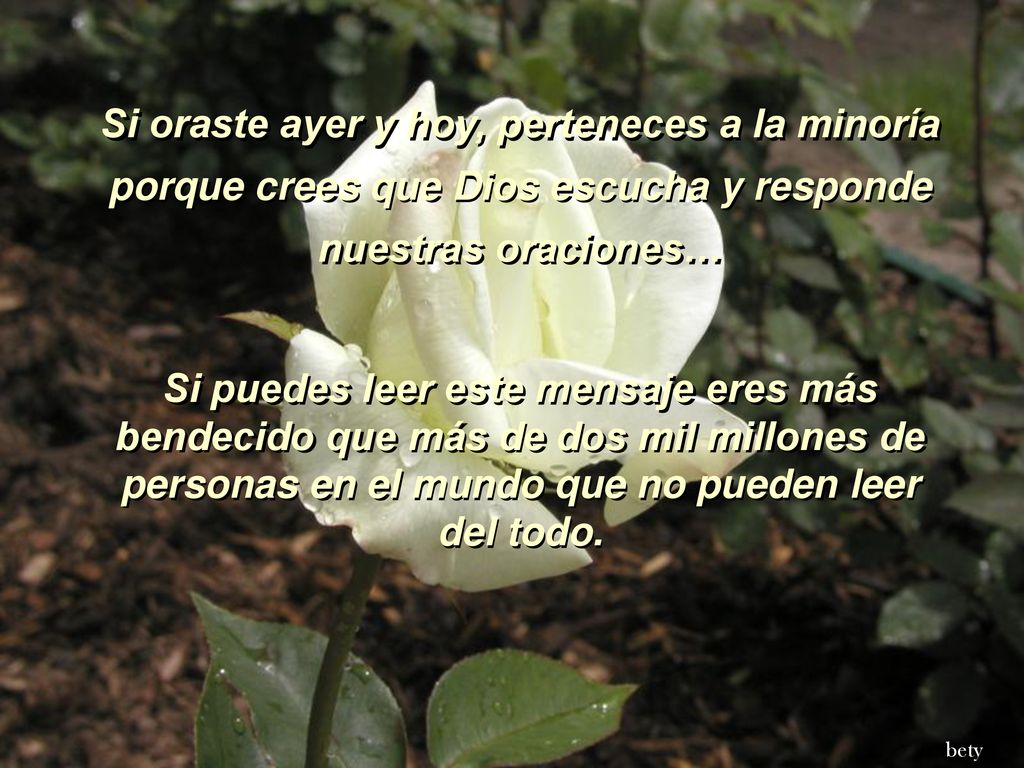 Si oraste ayer y hoy, perteneces a la minoría porque crees que Dios escucha y responde nuestras oraciones…