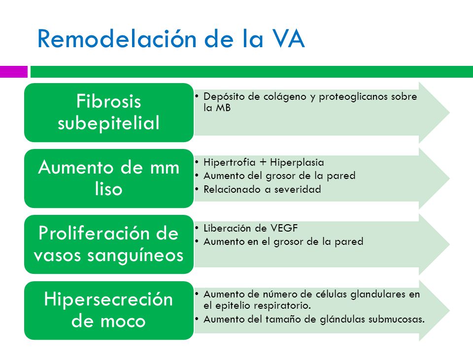 Remodelación de la VA Fibrosis subepitelial Aumento de mm liso