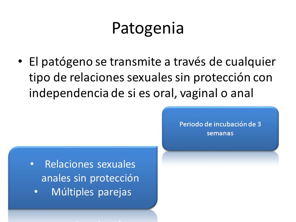 Patogenia El patógeno se transmite a través de cualquier tipo de relaciones sexuales sin protección con independencia de si es oral, vaginal o anal.