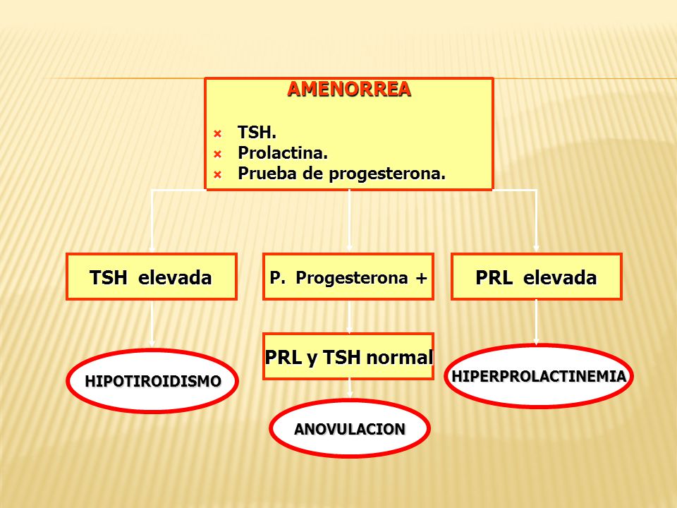 AMENORREA TSH elevada PRL elevada PRL y TSH normal