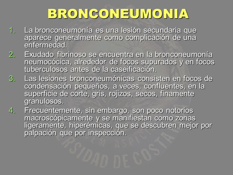 BRONCONEUMONIA La bronconeumonía es una lesión secundaria que aparece generalmente como complicación de una enfermedad.
