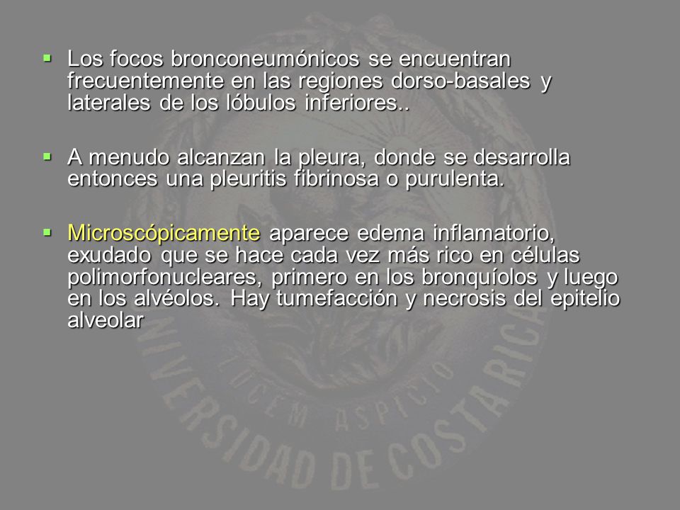 Los focos bronconeumónicos se encuentran frecuentemente en las regiones dorso-basales y laterales de los lóbulos inferiores..