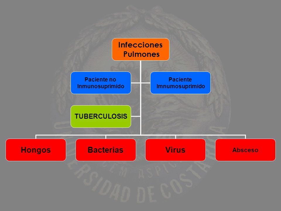 Infecciones Pulmones Hongos Bacterias Virus TUBERCULOSIS Absceso