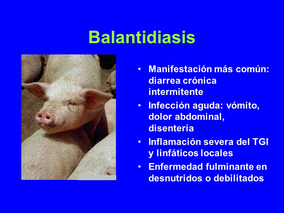 Balantidiasis Manifestación más común: diarrea crónica intermitente