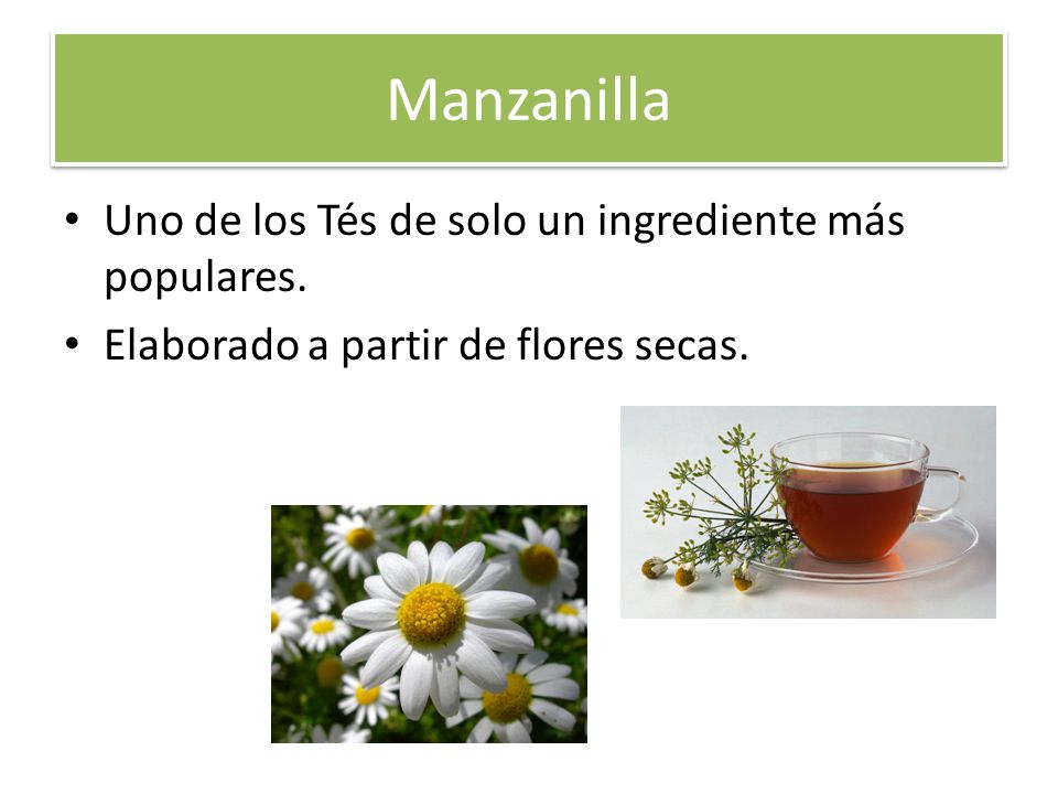 Manzanilla Uno de los Tés de solo un ingrediente más populares.