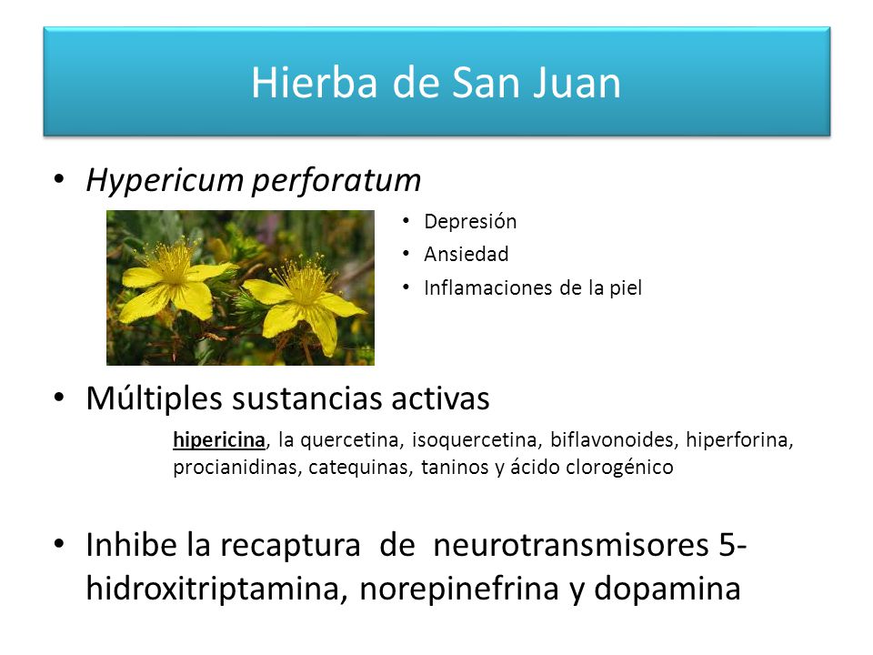 Hierba de San Juan Hypericum perforatum Múltiples sustancias activas