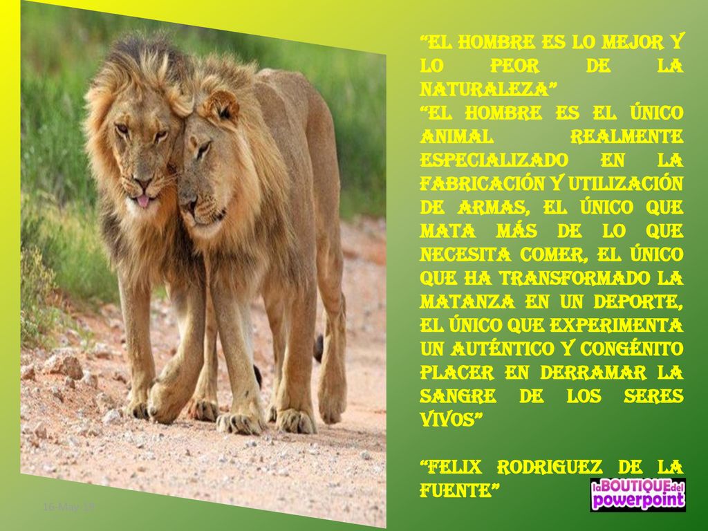 El hombre es lo mejor y lo peor de la naturaleza