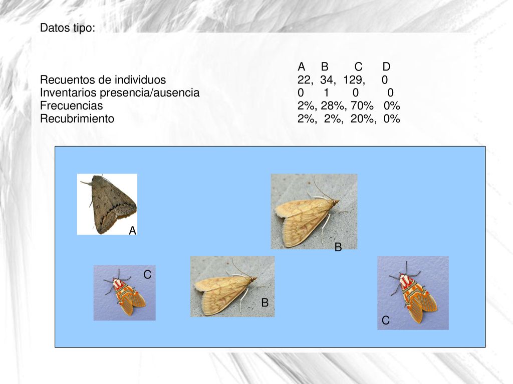 Datos tipo: A B C D. Recuentos de individuos 22, 34, 129, 0. Inventarios presencia/ausencia