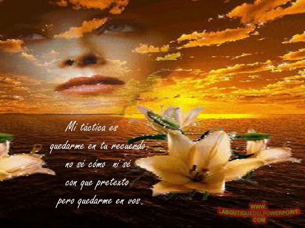 Mi táctica es quedarme en tu recuerdo no sé cómo ni sé con que pretexto pero quedarme en vos