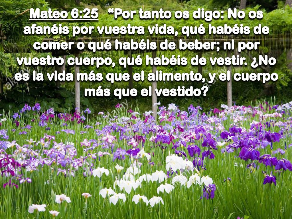 Mateo 6:25 Por tanto os digo: No os afanéis por vuestra vida, qué habéis de comer o qué habéis de beber; ni por vuestro cuerpo, qué habéis de vestir.