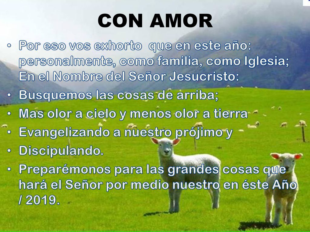 CON AMOR Por eso vos exhorto que en este año: personalmente, como familia, como Iglesia; En el Nombre del Señor Jesucristo: