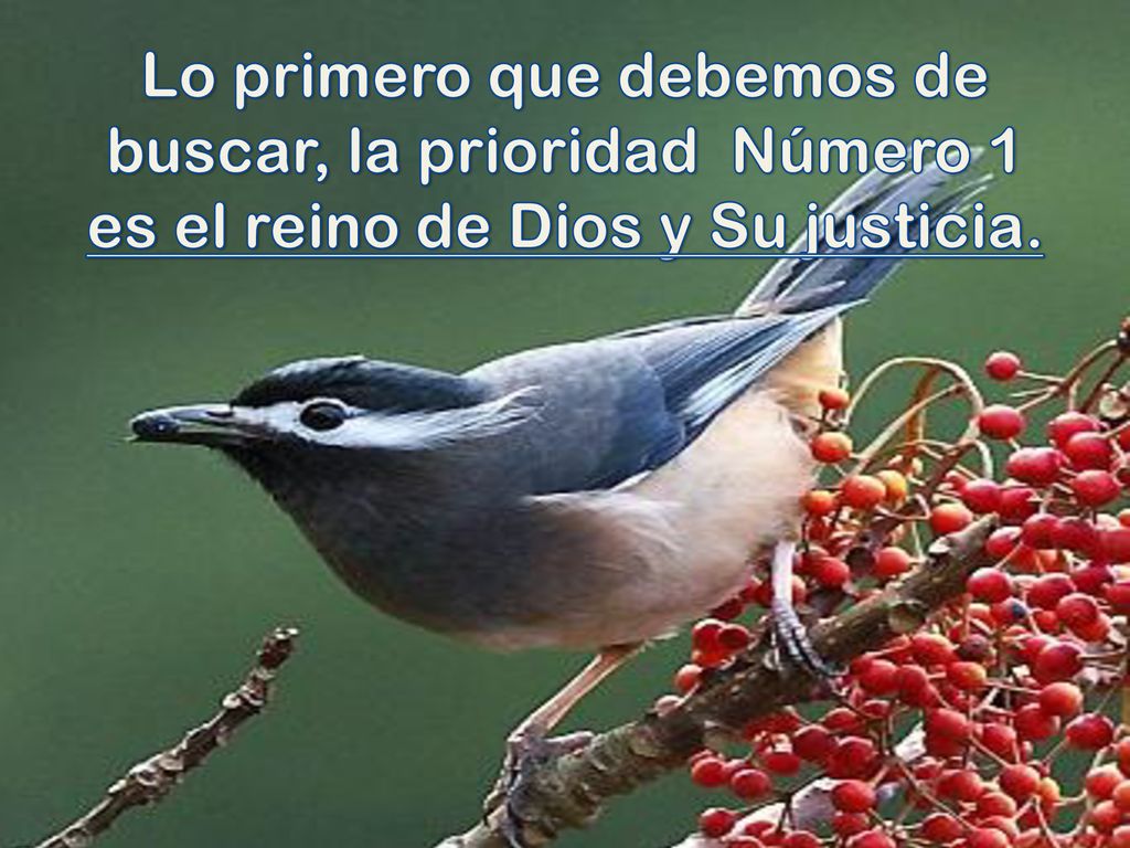 Lo primero que debemos de buscar, la prioridad Número 1 es el reino de Dios y Su justicia.