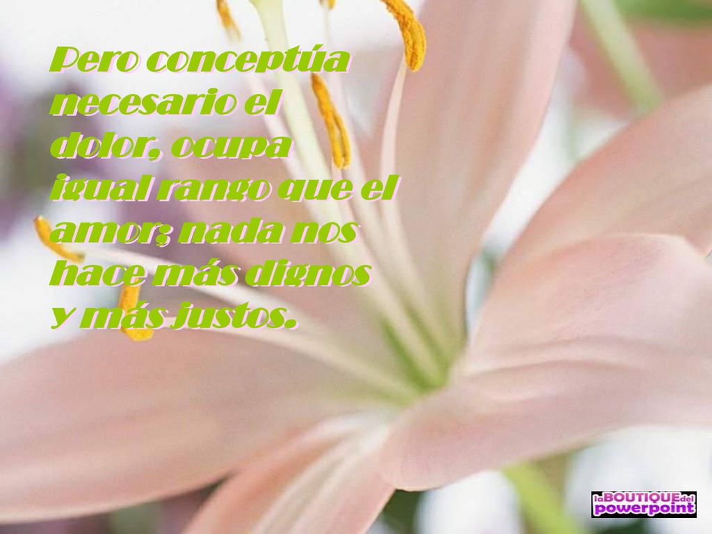 Pero conceptúa necesario el dolor, ocupa igual rango que el amor; nada nos hace más dignos y más justos.