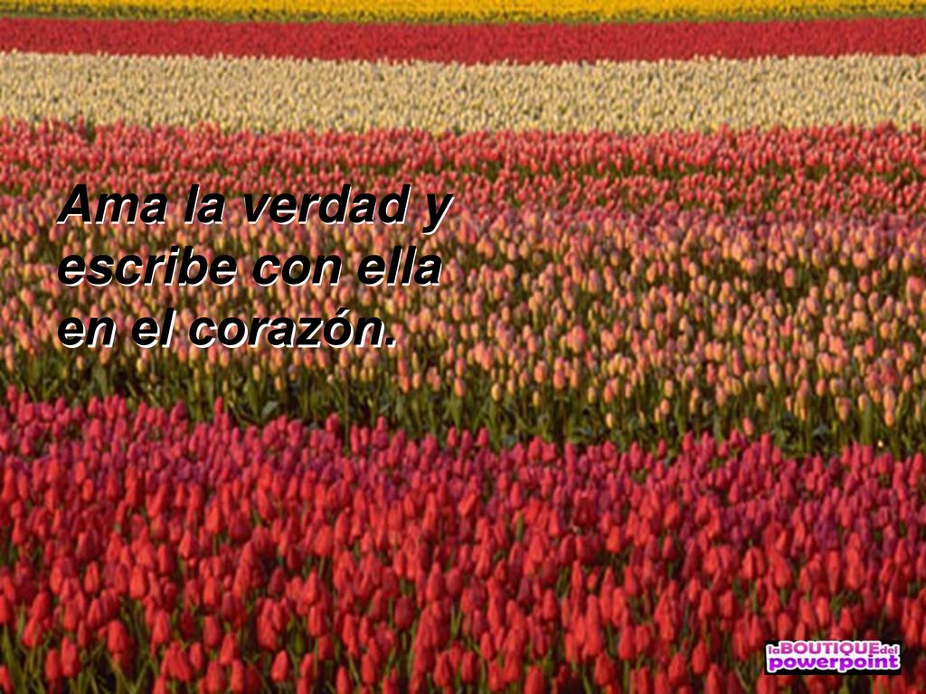 Ama la verdad y escribe con ella en el corazón.