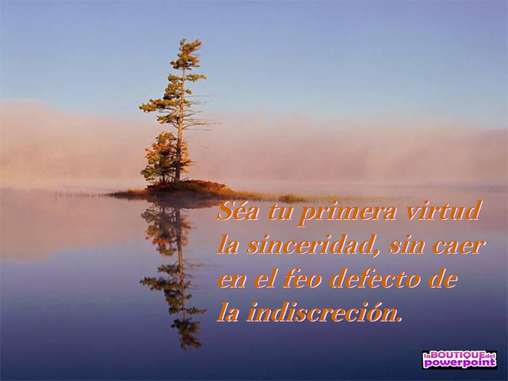 Séa tu primera virtud la sinceridad, sin caer en el feo defecto de la indiscreción.